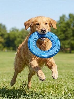 Chuckit! Rugged Flyer - Blue Medium Dog Disc